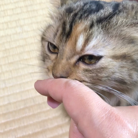 もうすぐ1ヶ月の画像