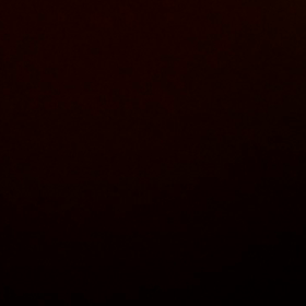 ホルモン注射23回目の画像