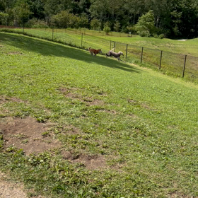 エンゼルフォレスト白河高原④の画像
