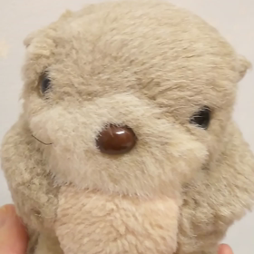 かわいいラッコの画像