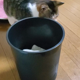 雨漏りしてますの画像