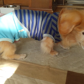 昨日はスカパー！三昧(o^^o)の画像