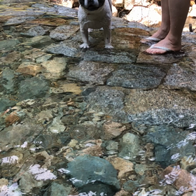 川遊び☆の画像