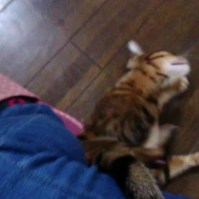 もはや言い間違いというよりも、、、。の画像