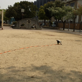 晴れたぁ☀️の画像