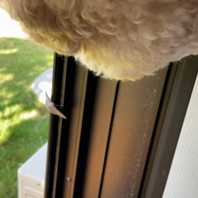 今日から介護のはじまりですの画像