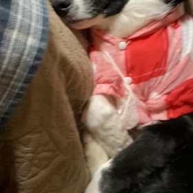 抜け毛対策にリメイク服の画像