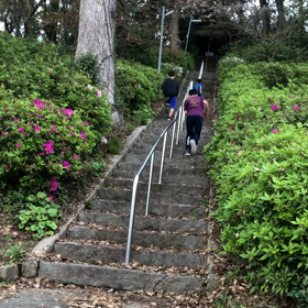 運動不足解消の為！！の画像