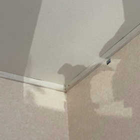 風に揺られての画像