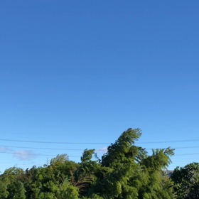 酷い水害ですね。(>_<)の画像