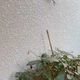 不正利用の画像