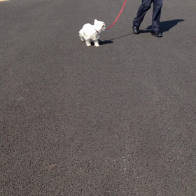 公園の動画の画像