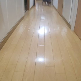 呼ぶと来てくれた！の画像