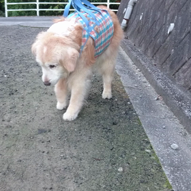 １０月２０日   今朝のそらっち。の画像