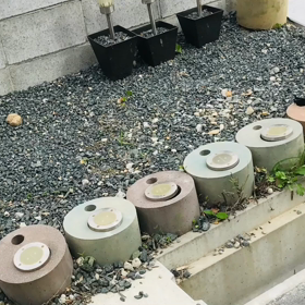 丸コン活用ライト並べ替えの画像