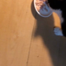 優、食欲旺盛の画像