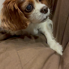 ぱくっ⭐︎の画像