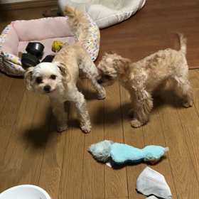 ハニーがエリックに腰振りの画像