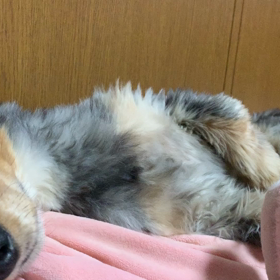 こ・・・こわいの画像