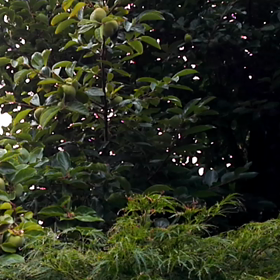 やっと会えたね　❗の画像