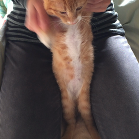 ▶︎DJおちゃめの画像