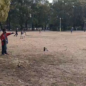 ジャベリックスロー練習①の画像