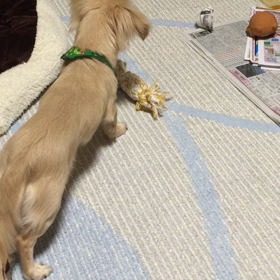 新聞紙やで‼︎笑の画像