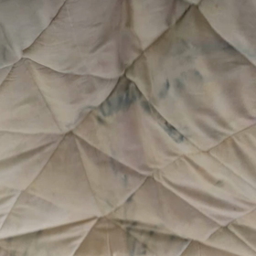 勘違いにも程がある… 地震だぁの画像