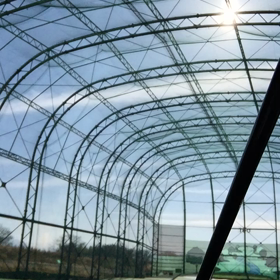 今日はいちごの日の画像