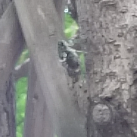 夏の終わりの画像