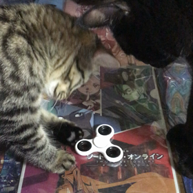 流行りものの画像