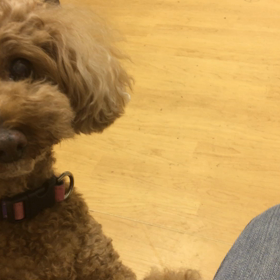 無言の圧力。の画像