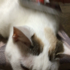 私には青沼さんがいるからの画像