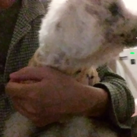 暗転　2018年3月16日　の画像