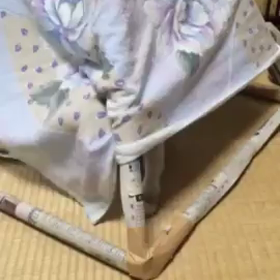 ピラミッドの思い出ニャン❗の画像