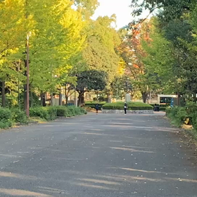 記録会 女子Cグループ⑦の画像