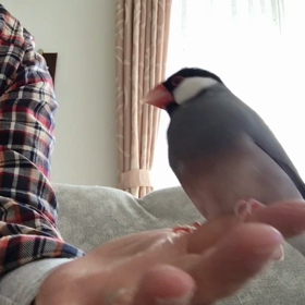 こんにちは☀️の画像