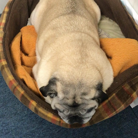 くつろぎスタイルの画像