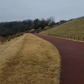 １組目 流し③の画像