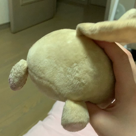 今日の癒しの画像