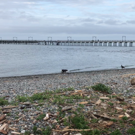 早起きは三文の徳？の画像