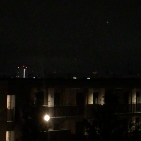 見納め？の画像