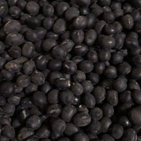 令和2年産　新 潟県産　黒豆ちゃんの画像