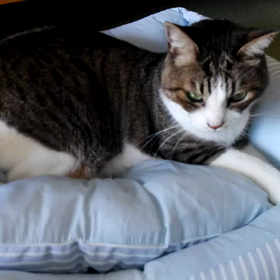 ベッドでふみふみの画像