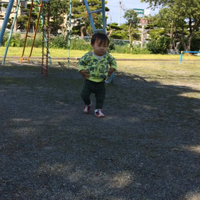 今日の公園の画像