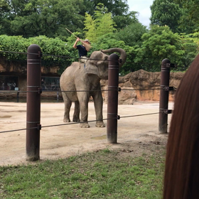 今日は上野動物園へ…の画像