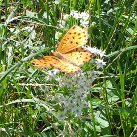 こんな夜更けに(^-^)の画像