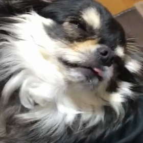 べるきれいきれいの画像