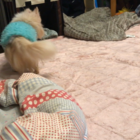 音量ご注意くださいの画像