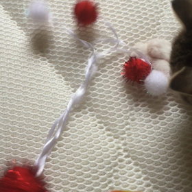 【動画】練習はかかせない (*•̀ᴗ•́*)و ̑̑の画像